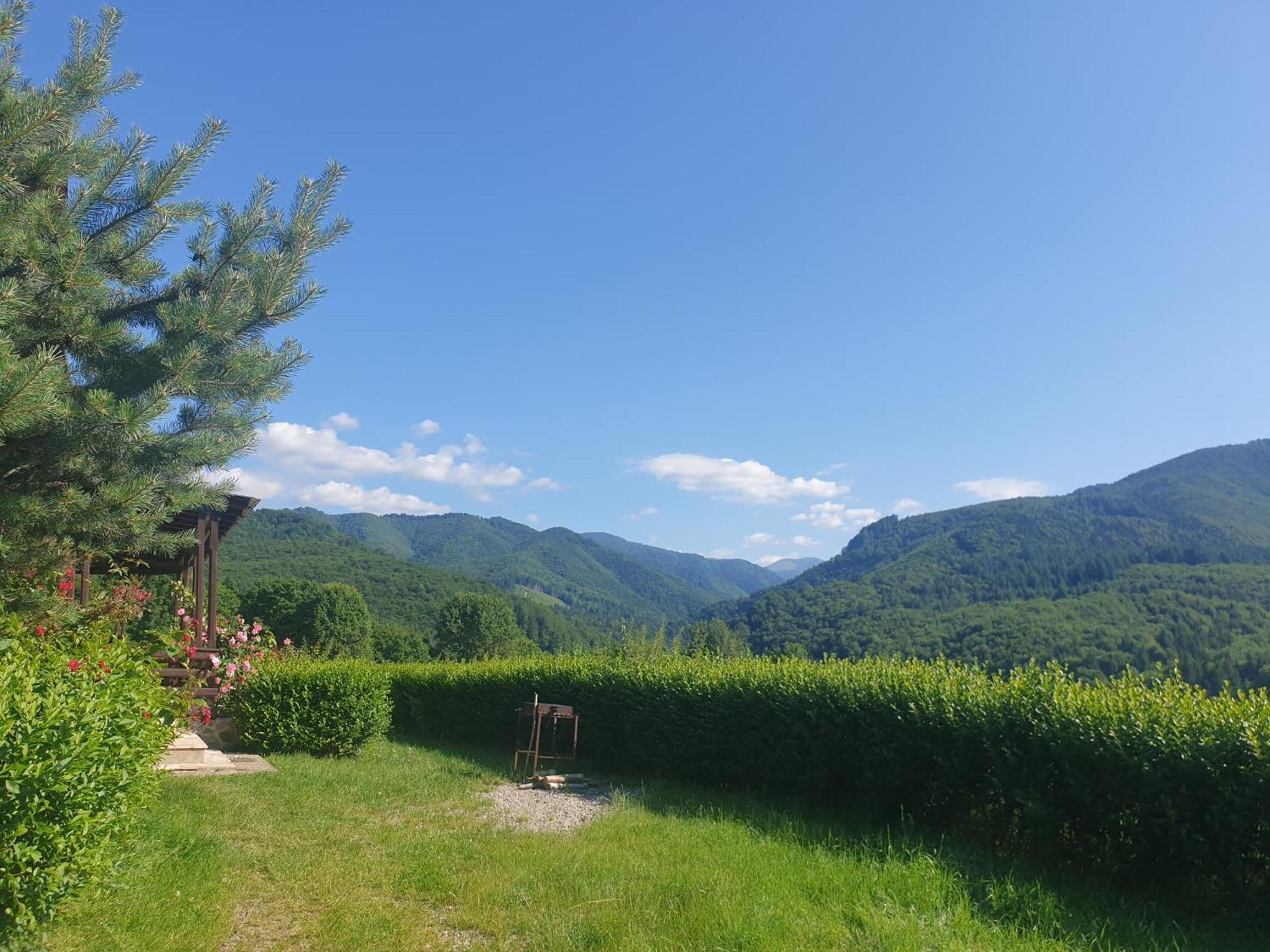 Valea Doamnei Nucşoara Exterior foto