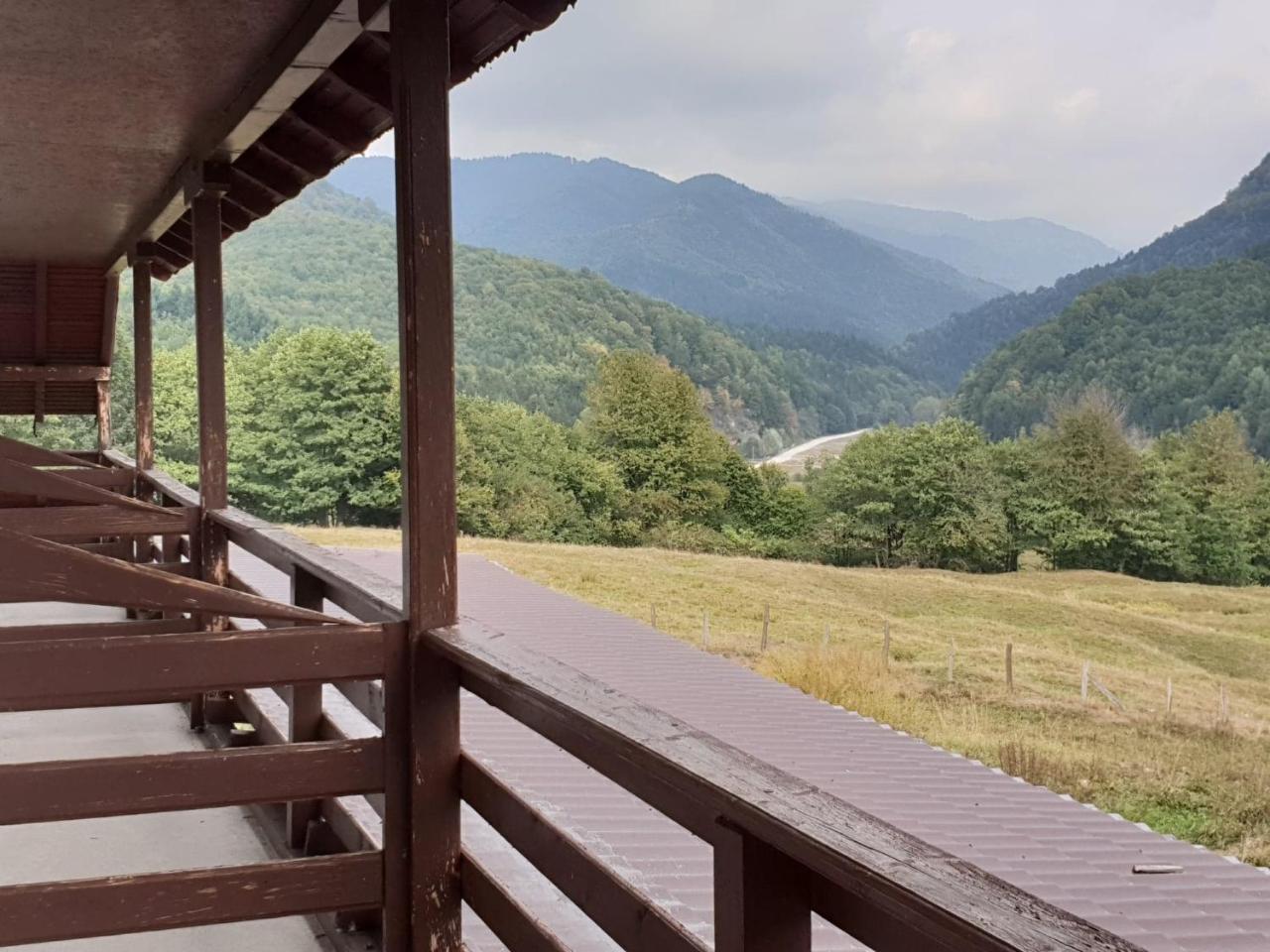 Valea Doamnei Nucşoara Exterior foto