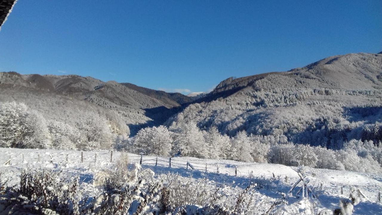 Valea Doamnei Nucşoara Exterior foto